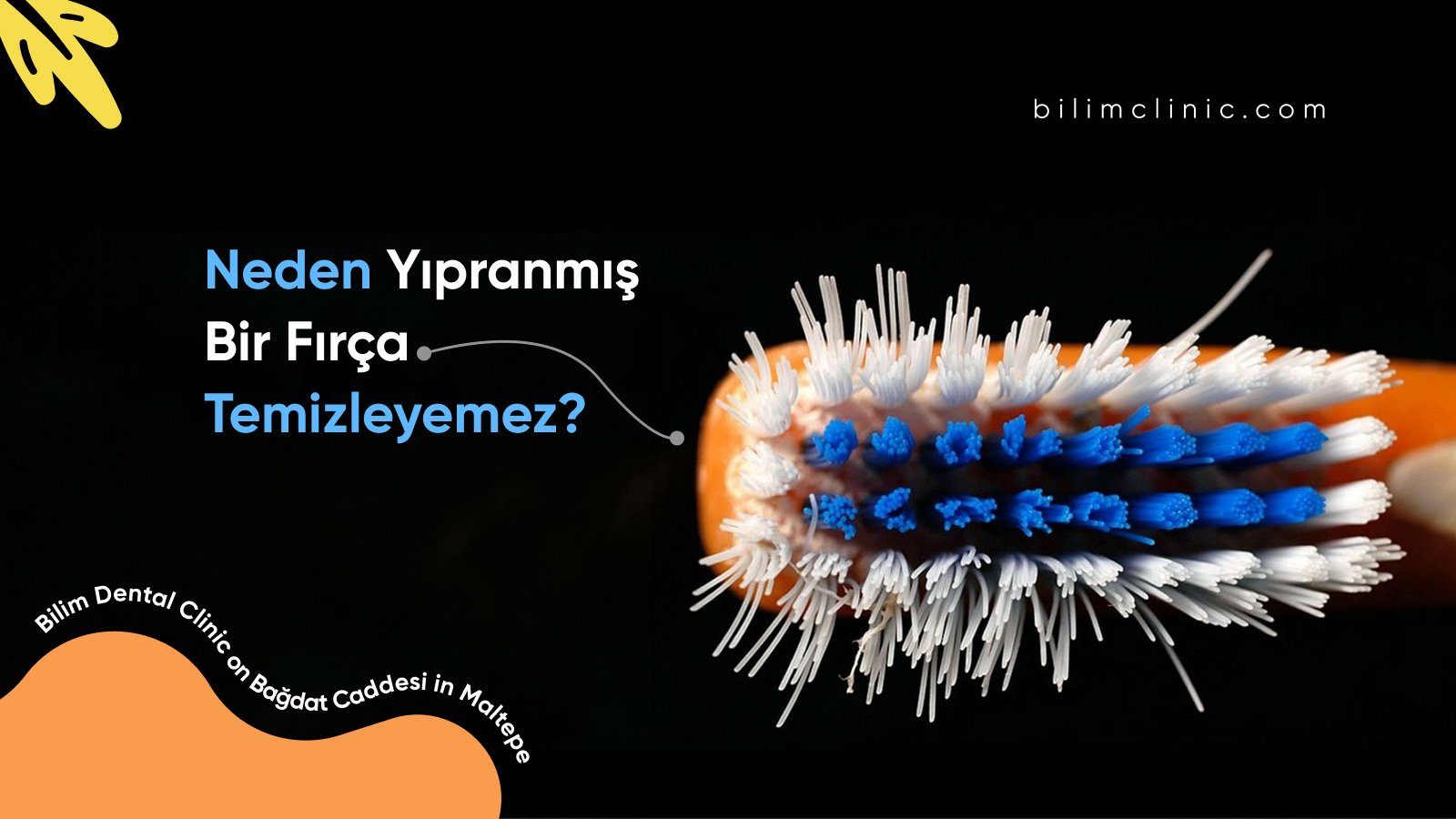 diş fırçası