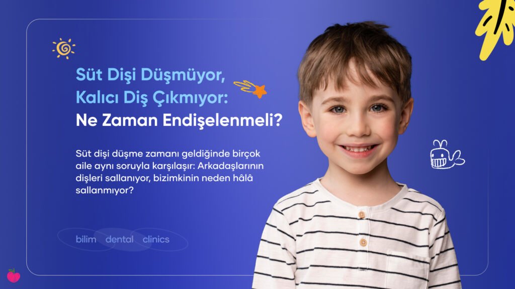 süt dişi