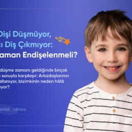 süt dişi